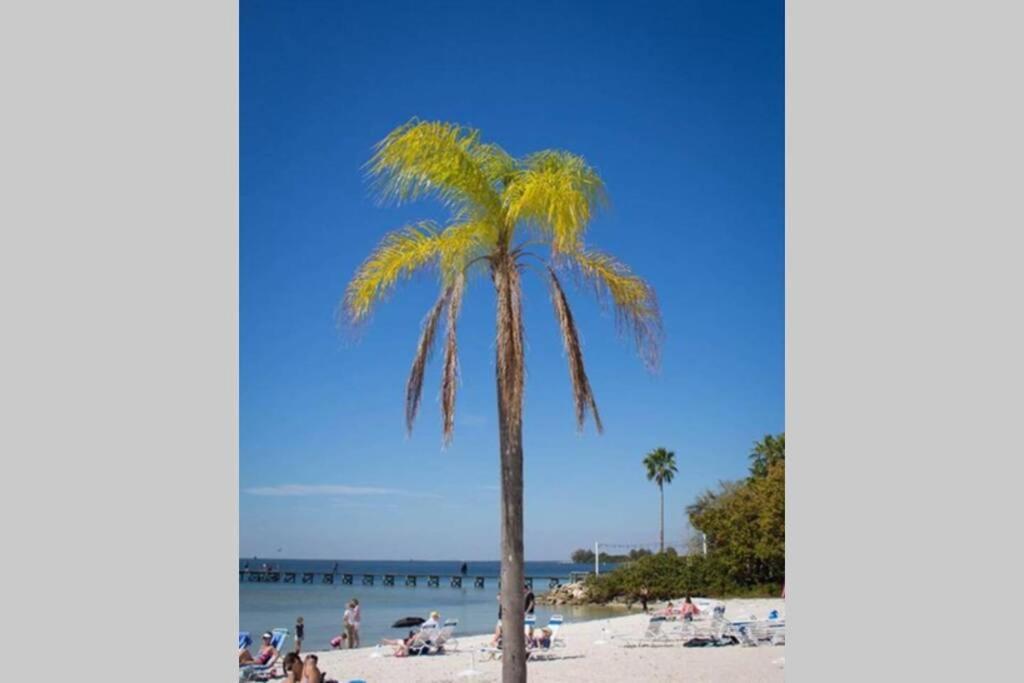 Manatee, Studio202, Beach Steps Away! Pool+Wifi Ruskin Bagian luar foto