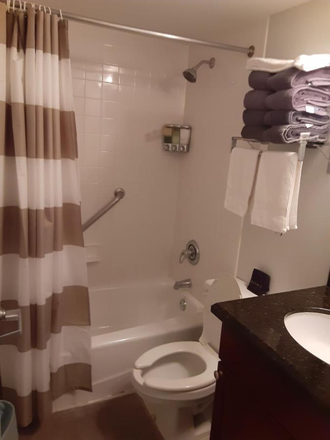 Manatee, Studio202, Beach Steps Away! Pool+Wifi Ruskin Bagian luar foto